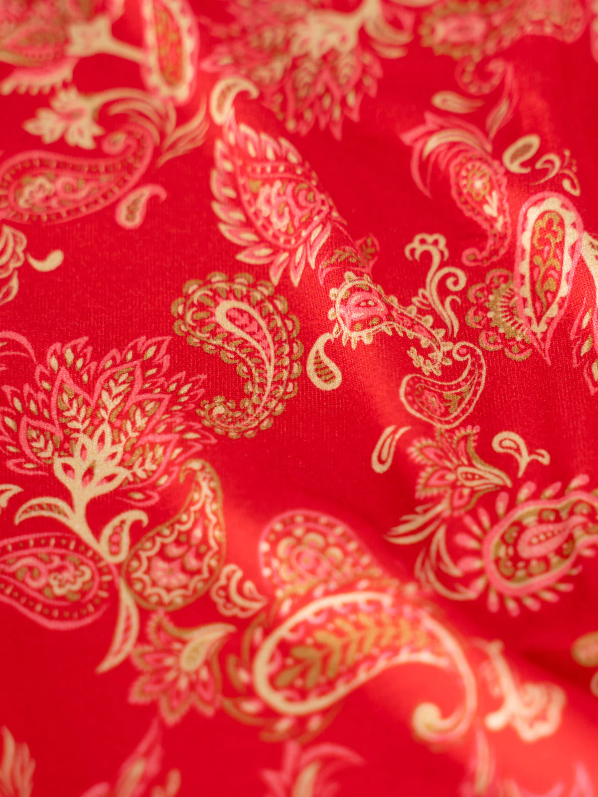 Printed Paisley Skirt - Image 8